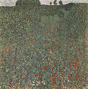 Mohnfeld, Gustav Klimt